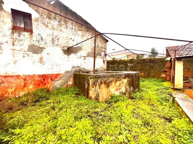 Quinta T3 para Venda em Ferreira do Zezere Foto 74