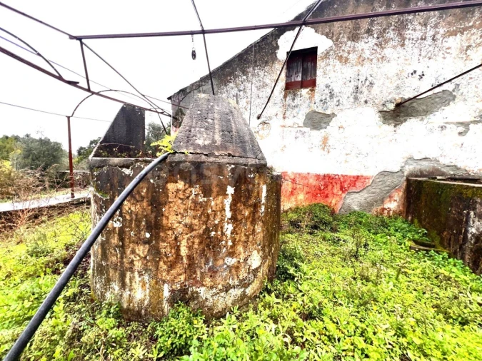 Quinta T3 para Venda em Ferreira do Zezere Foto 75