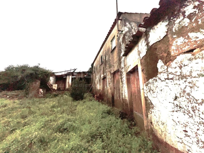 Quinta T3 para Venda em Ferreira do Zezere Foto 78