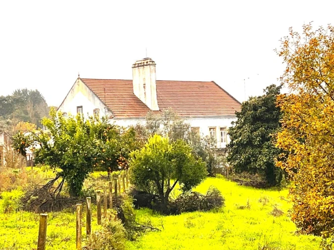 Quinta T3 para Venda em Ferreira do Zezere Foto 83