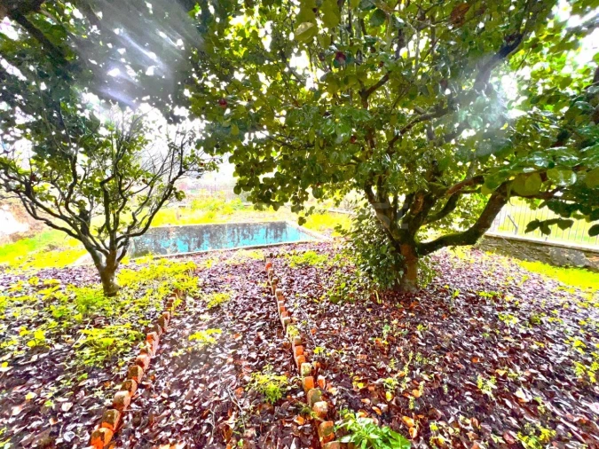 Quinta T3 para Venda em Ferreira do Zezere Foto 88