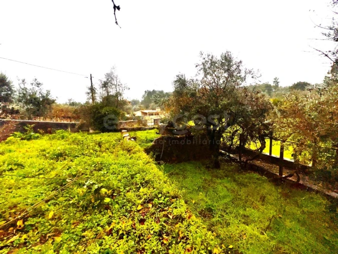 Quinta T3 para Venda em Ferreira do Zezere Foto 89