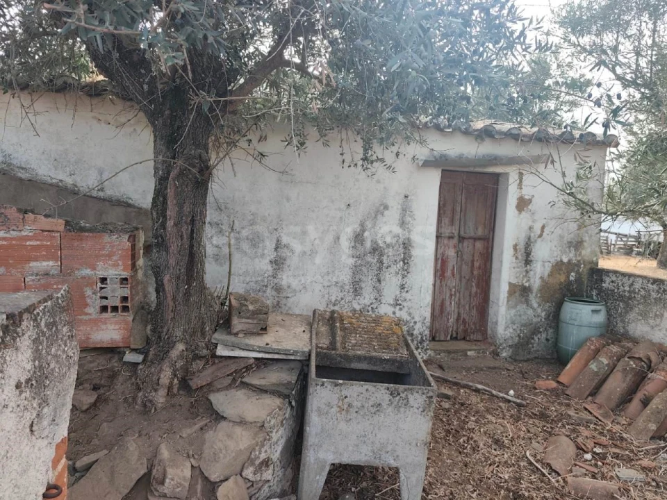 Moradia T1 para Venda em Aldeia dos Fernandes Foto 4