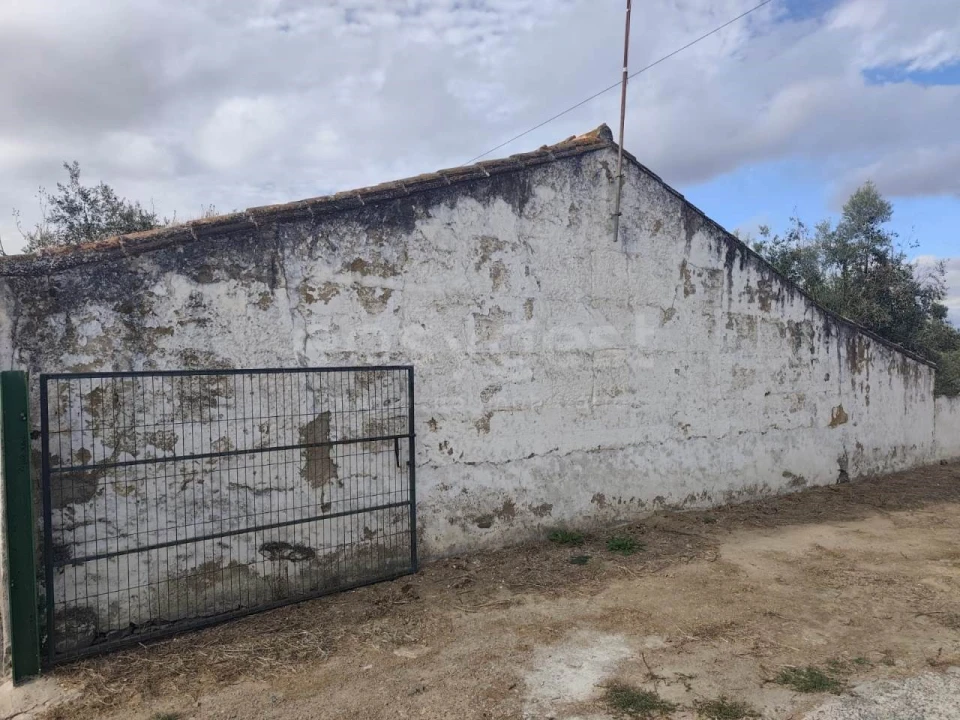 Moradia T1 para Venda em Aldeia dos Fernandes Foto 5