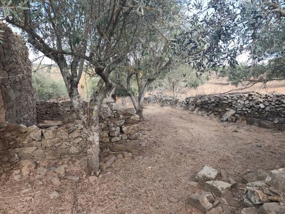 Moradia T1 para Venda em Aldeia dos Fernandes Foto 9