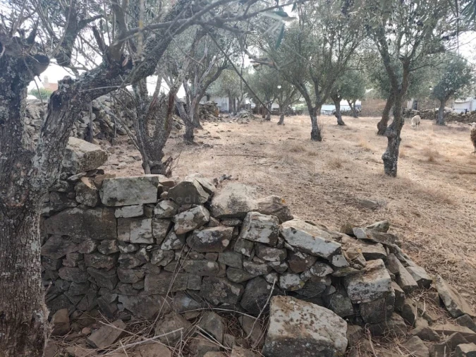 Moradia T1 para Venda em Aldeia dos Fernandes Foto 6