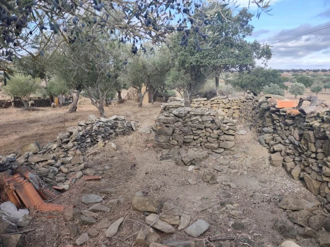 Moradia T1 para Venda em Aldeia dos Fernandes Foto 7