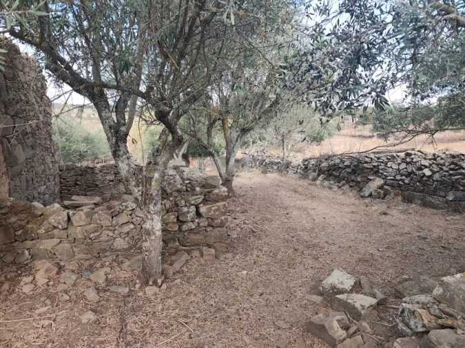 Moradia T1 para Venda em Aldeia dos Fernandes Foto 9