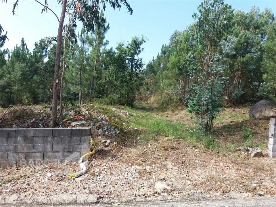 Terreno para Venda em Milhazes, Vilar de Figos e Faria Foto 3