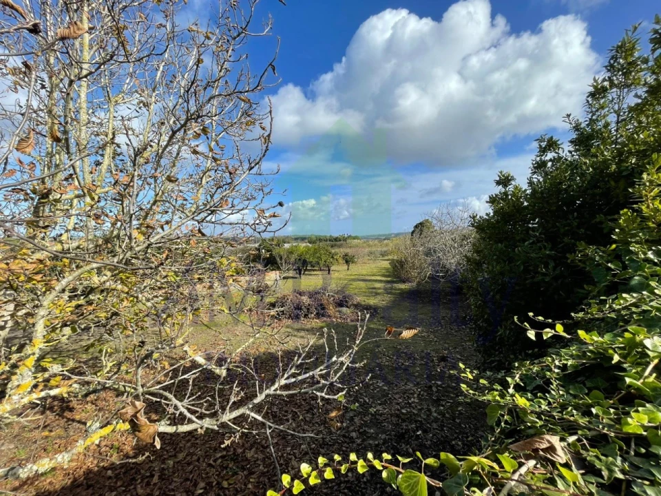 Moradia para Venda em Olho Marinho Foto 5