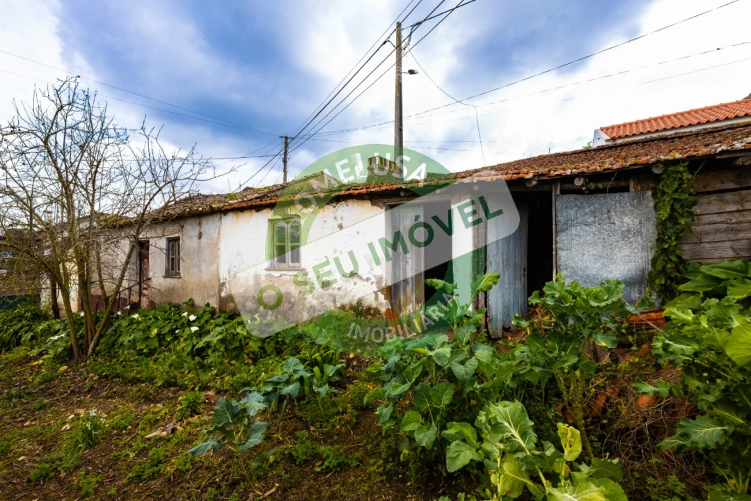 Moradia T2 para Venda em Pereira Foto 2