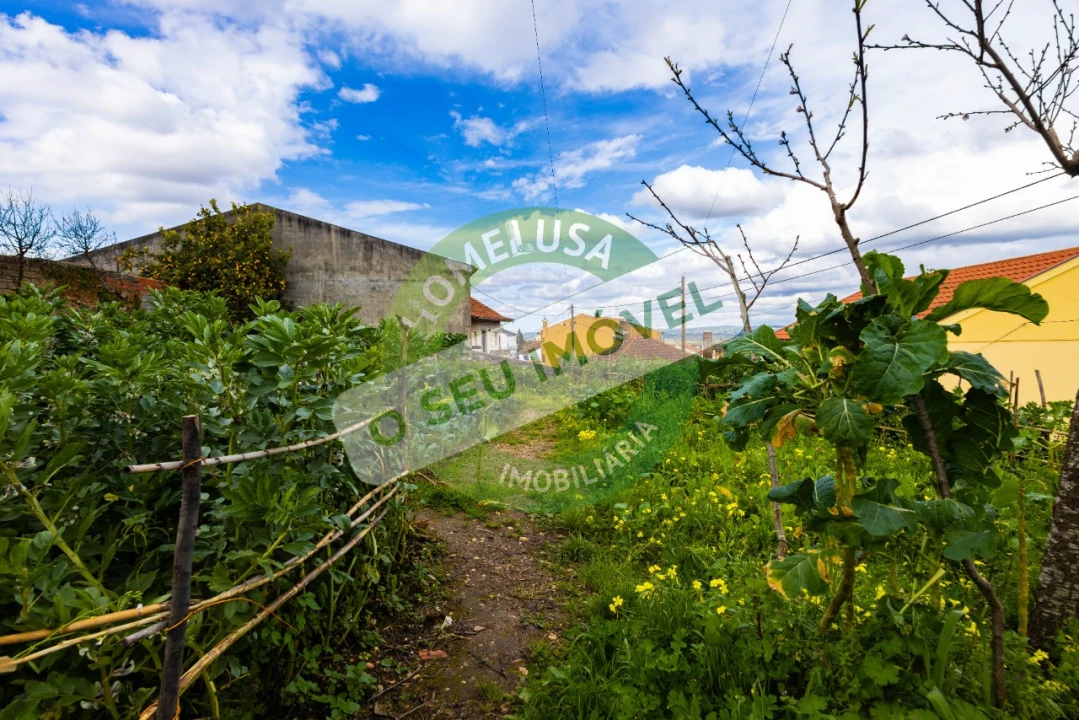 Moradia T2 para Venda em Pereira Foto 23