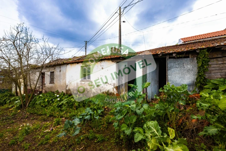 Moradia T2 para Venda em Pereira Foto 2