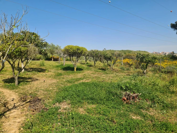 Terreno para Venda em Agualva e Mira-Sintra Foto 3