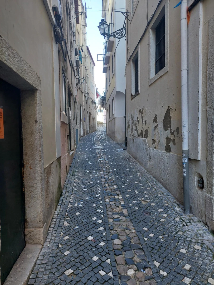 Apartamento T1 para Venda em Santa Maria Maior Foto 1