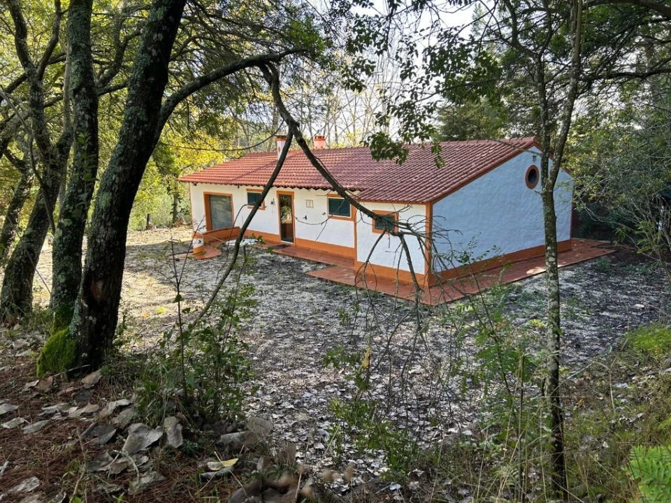 Moradia T2 para Venda em São Pedro de Tomar Foto 5