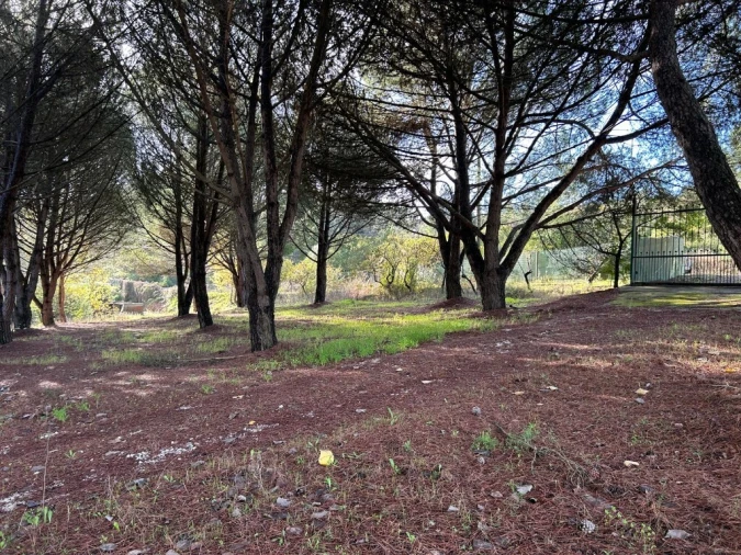 Moradia T2 para Venda em São Pedro de Tomar Foto 7