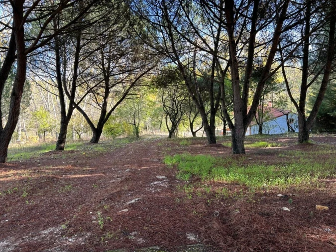 Moradia T2 para Venda em São Pedro de Tomar Foto 6