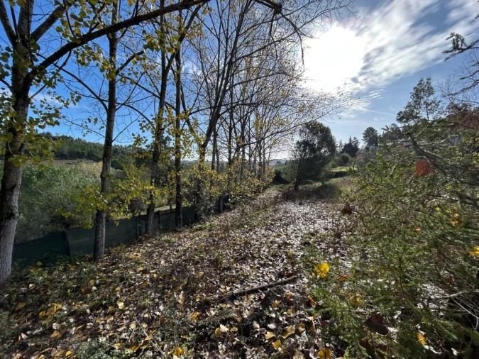 Moradia T2 para Venda em São Pedro de Tomar Foto 8