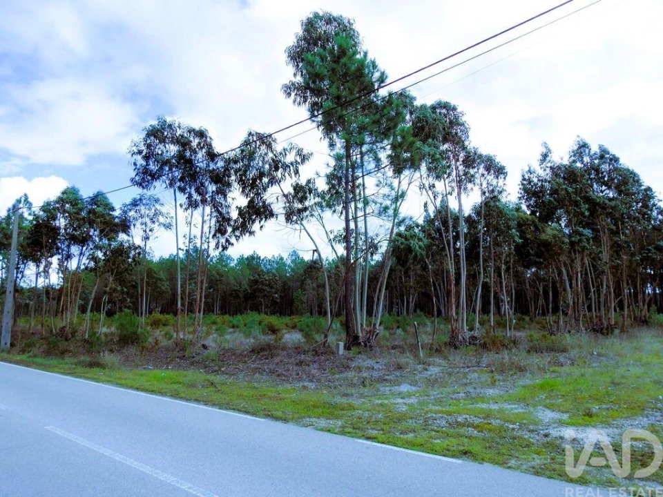 Terreno para Venda em Pataias e Martingança Foto 10