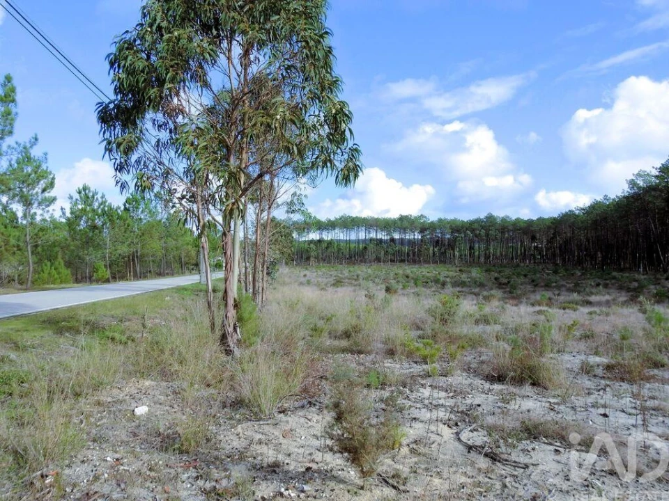 Terreno para Venda em Pataias e Martingança Foto 8