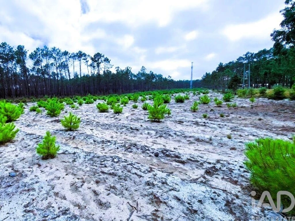 Terreno para Venda em Pataias e Martingança Foto 9