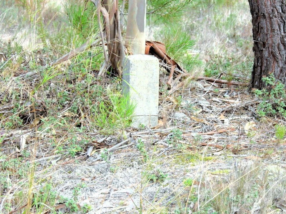 Terreno para Venda em Pataias e Martingança Foto 11