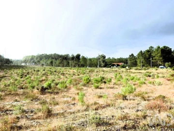 Terreno para Venda em Pataias e Martingança