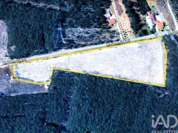 Terreno para Venda em Pataias e Martingança