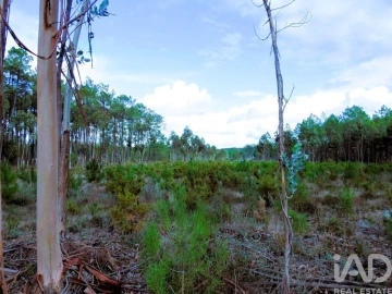 Terreno para Venda em Pataias e Martingança