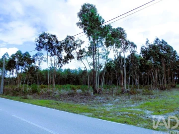 Terreno para Venda em Pataias e Martingança