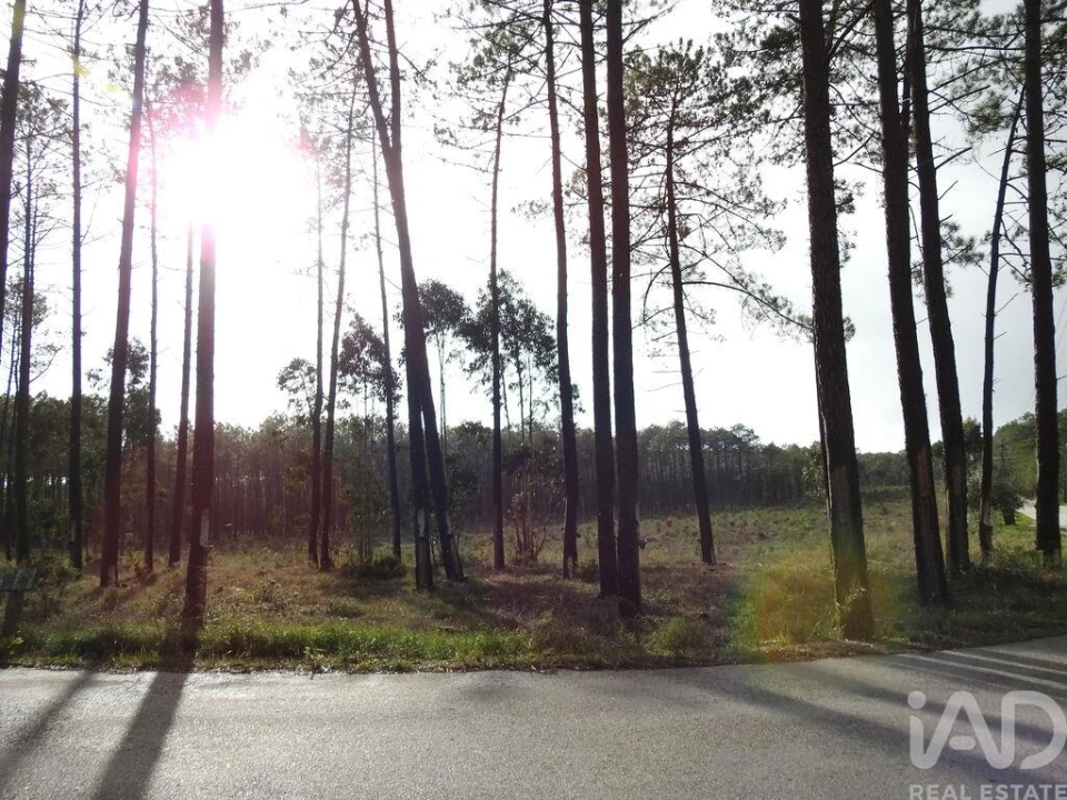 Terreno para Venda em Pataias e Martingança Foto 12