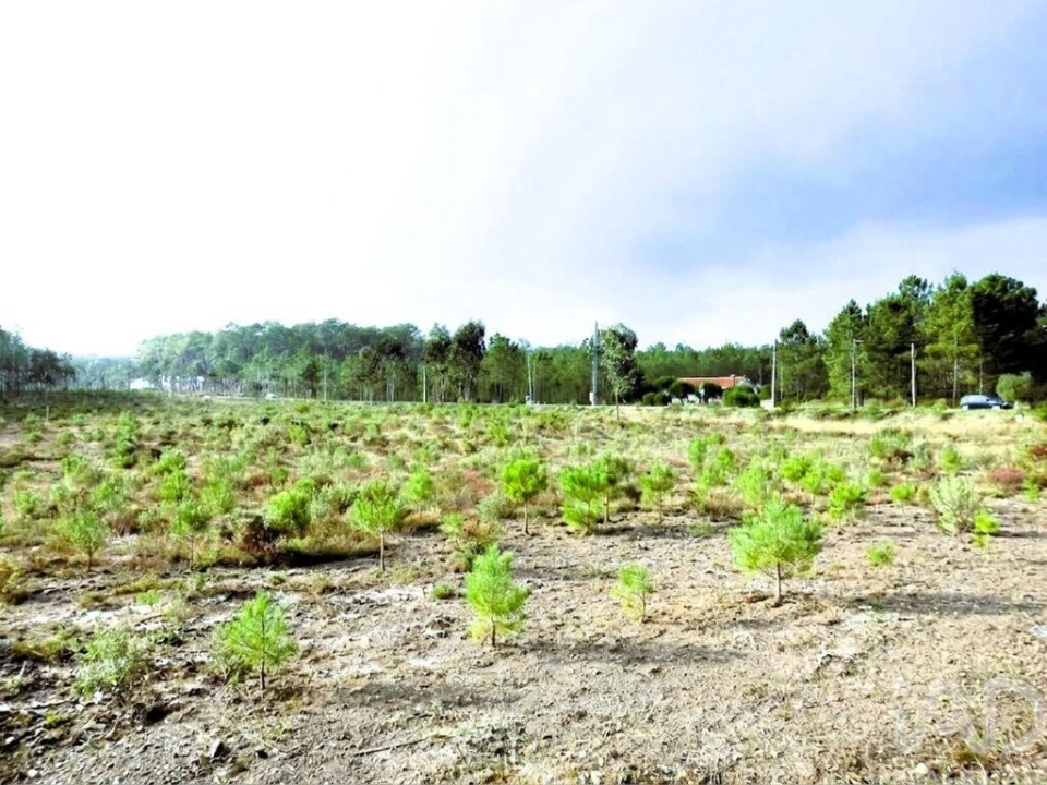Terreno para Venda em Pataias e Martingança Foto 7