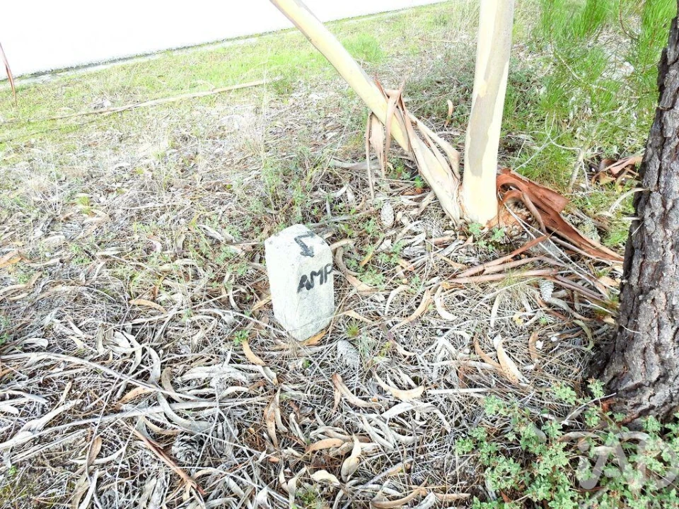 Terreno para Venda em Pataias e Martingança Foto 9