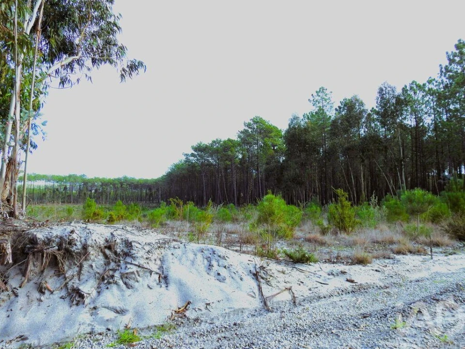 Terreno para Venda em Pataias e Martingança Foto 7