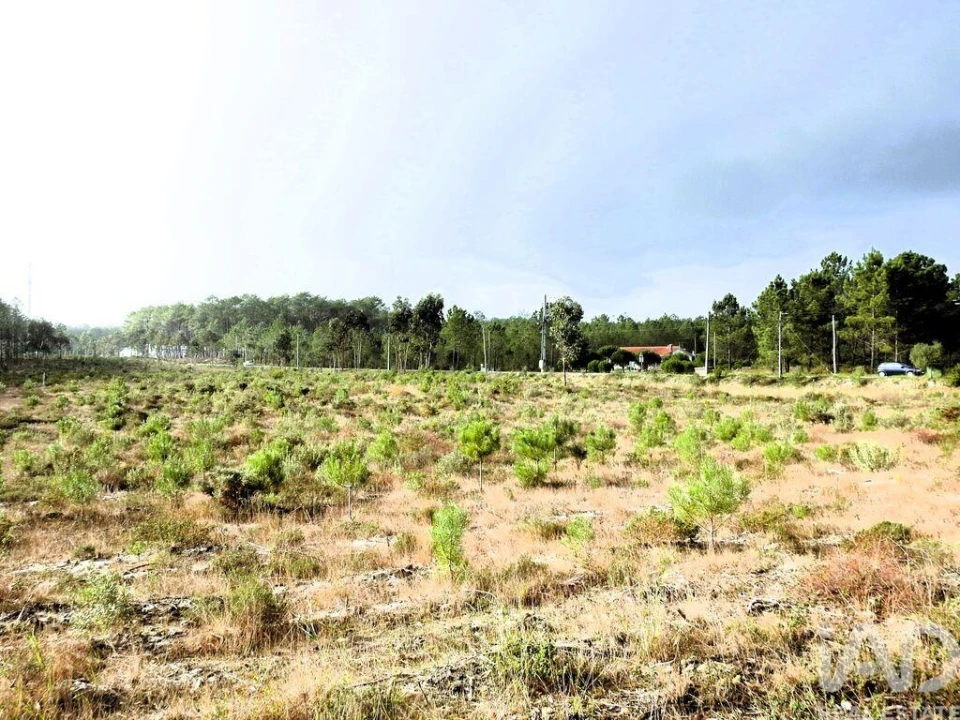 Terreno para Venda em Pataias e Martingança Foto 4