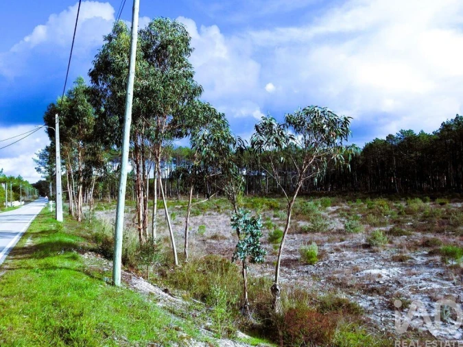 Terreno para Venda em Pataias e Martingança Foto 2