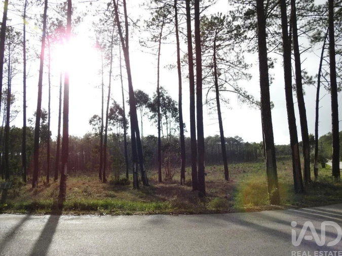 Terreno para Venda em Pataias e Martingança Foto 12