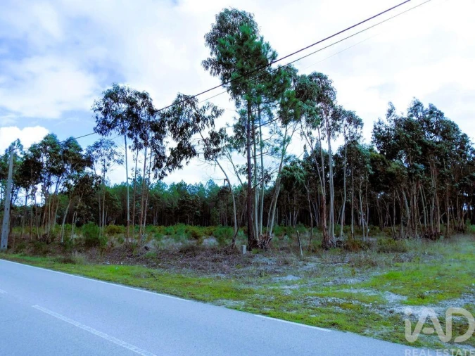 Terreno para Venda em Pataias e Martingança Foto 22