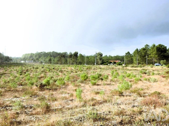 Terreno para Venda em Pataias e Martingança Foto 3