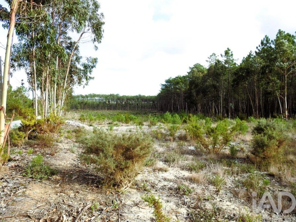 Terreno para Venda em Pataias e Martingança Foto 4
