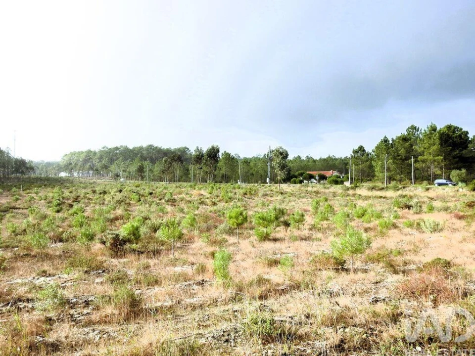 Terreno para Venda em Pataias e Martingança Foto 3