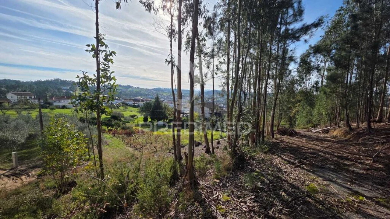 Terreno para Venda em Santa Eufémia e Boa Vista Foto 3
