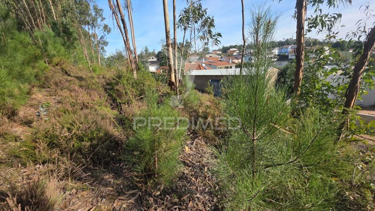Terreno para Venda em Santa Eufémia e Boa Vista Foto 9