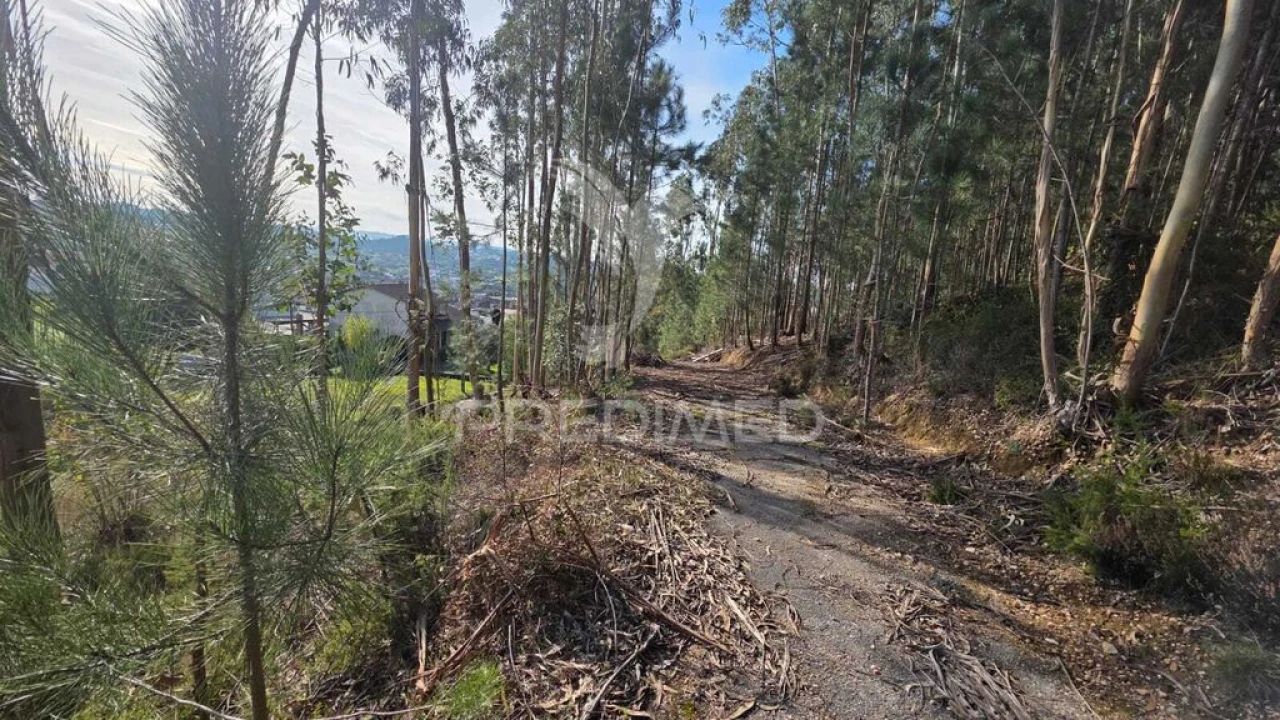 Terreno para Venda em Santa Eufémia e Boa Vista Foto 14