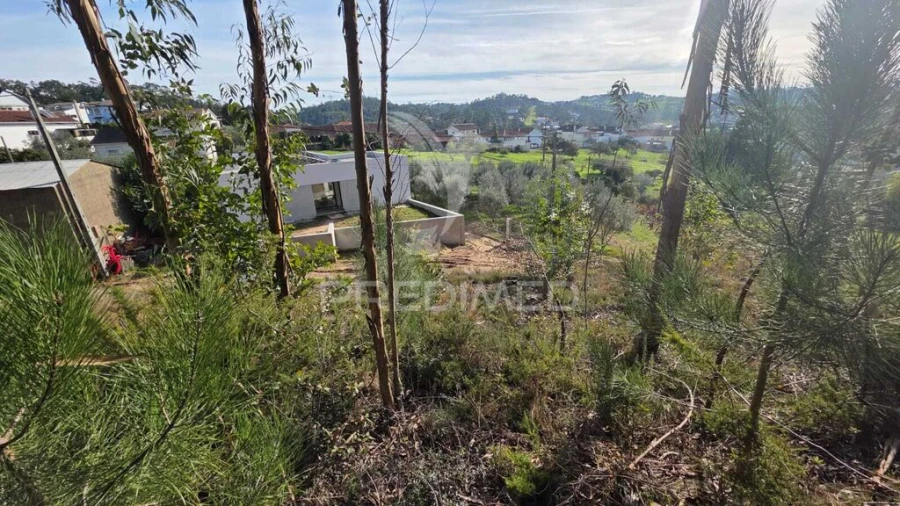 Terreno para Venda em Santa Eufémia e Boa Vista Foto 18