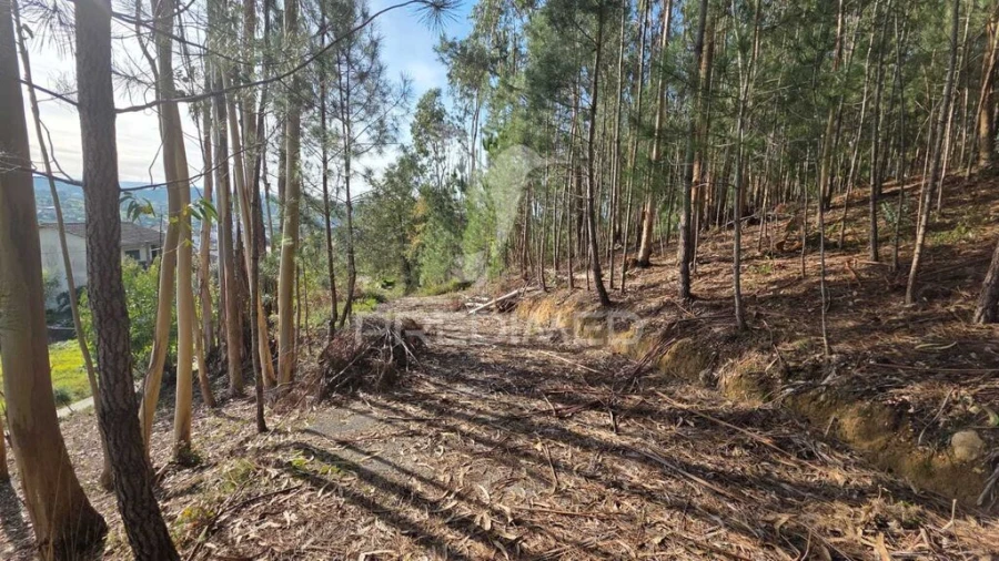 Terreno para Venda em Santa Eufémia e Boa Vista Foto 5