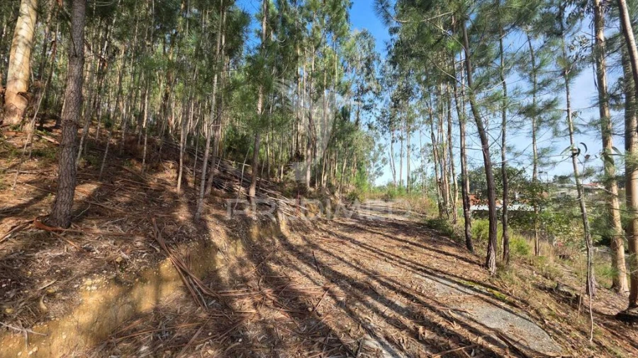 Terreno para Venda em Santa Eufémia e Boa Vista Foto 20