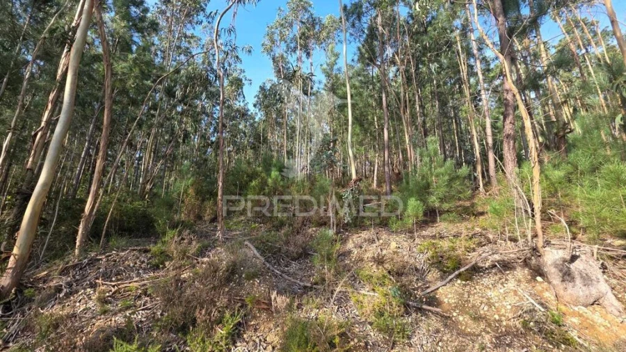 Terreno para Venda em Santa Eufémia e Boa Vista Foto 2
