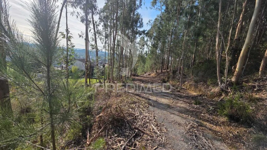 Terreno para Venda em Santa Eufémia e Boa Vista Foto 14